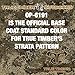Dip Bite OP-6191 True Timber STRATA Base 16 Oz Aerosol Spray Can Hydrographic Water Transfer Printing Hydro Dipping Dip Paint