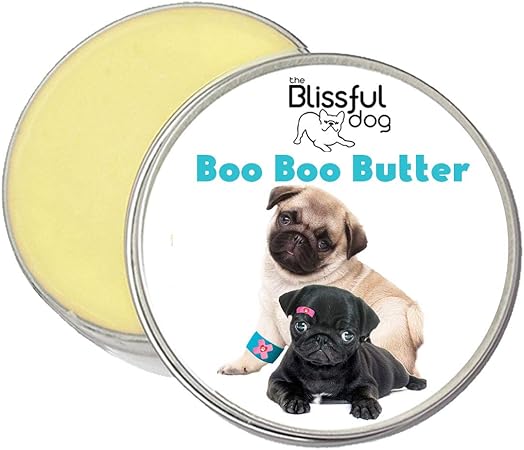 pug accessories for humans