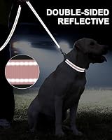 Taglory Dog Leads for Small Medium Dogs 2 cm Wide 180 cm Pink Reflective view 2