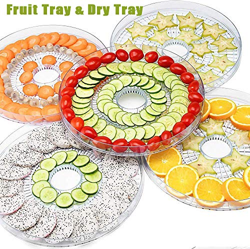 Food Dehydrator,5 Trays Fruit Vegetable Nuts Dryer, Temperature Preset Food Preserver for Fruits,Vegetable,Beef Jerky Maker - Thumbnail 2