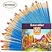 Acrylic Paint Brush Set, 6 packs/60pcs Nylon Hair Brushes for All Purpose Oil Watercolor Painting Artist Professional Kits