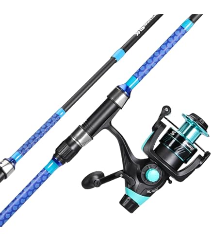 Combo de pesca D-Wave de agua salada, 2 partes, de Daiwa : Deportes y Actividades al Aire Libre
