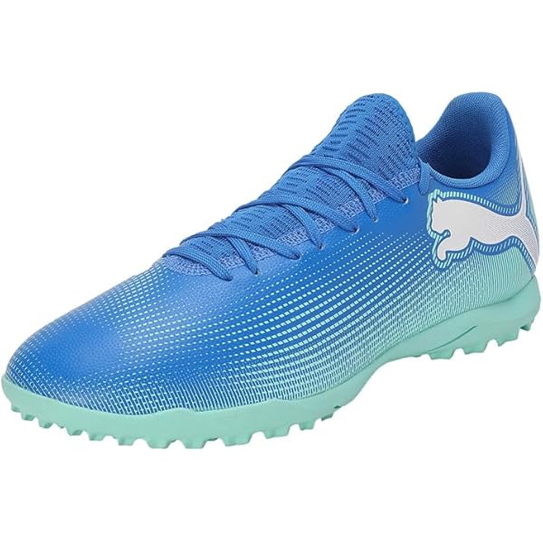 Puma Future 5.1 NETFIT 28㎝ Chuteira Campo Puma Future 5.1 Netfit OSG FG/AG - Chuteira