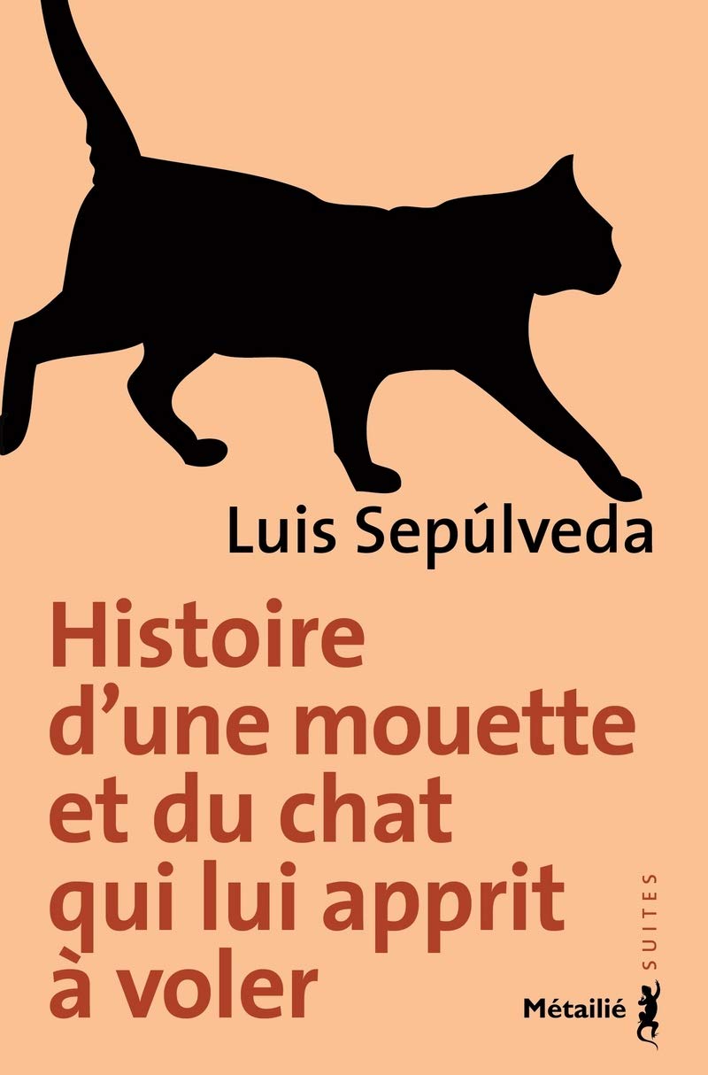 Amazon Com Histoire D Une Mouette Et Du Chat Qui Lui Apprit A Voler Sepulveda Luis Books