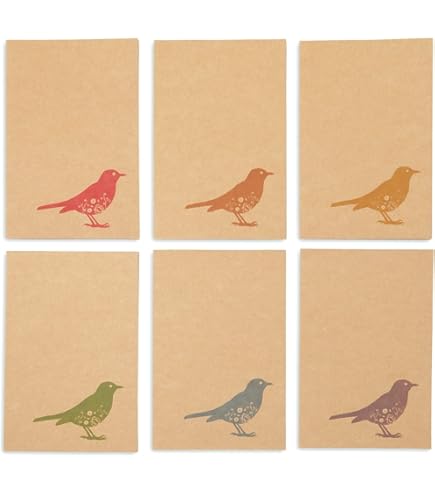Song Bird Note Cards With Identification - 24 Count A2 Blank Cards With Envelopes
