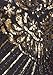 FAIRY COUPLE Women's 1920s Flapper Dress Gatsby Dress V Neck Beaded Fringed Dress Club Dress D20S020(XL,Black Gold)