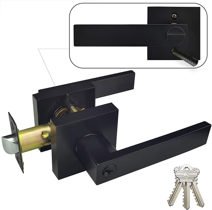Hade Lion(1Pack) Entry Square Door Handles, Easy to Install Matte Black