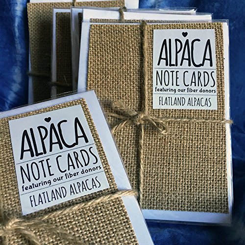 Set of 5 Assorted Cute Funny Animal Alpaca Note Cards - Thumbnail 2