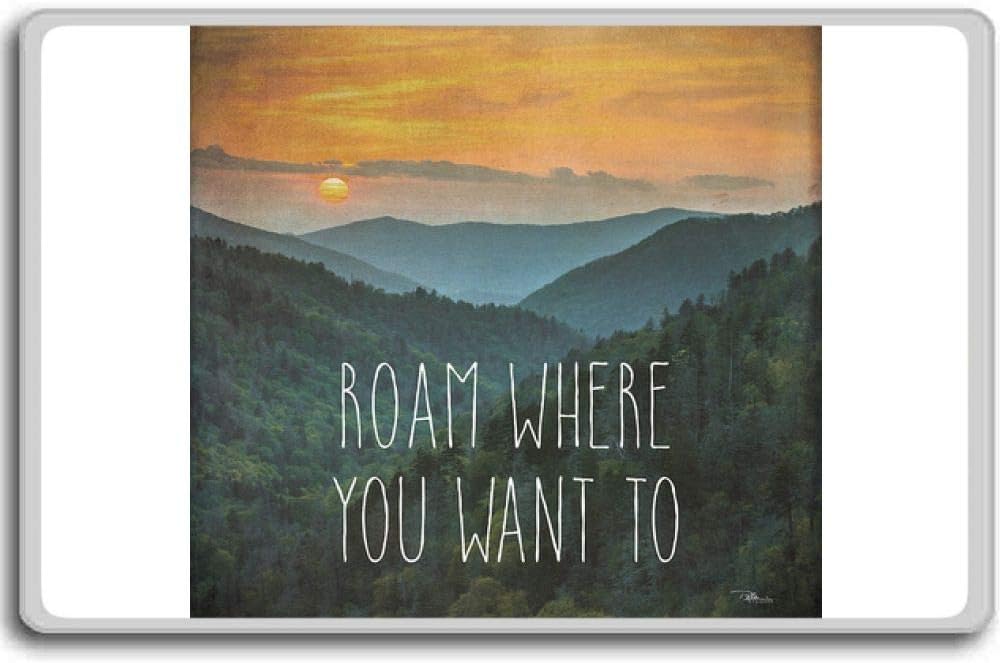 Which Is The Best Roam Magnets For Refrigerator