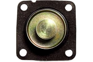 Borg Warner 13125 Pump Diaphragm