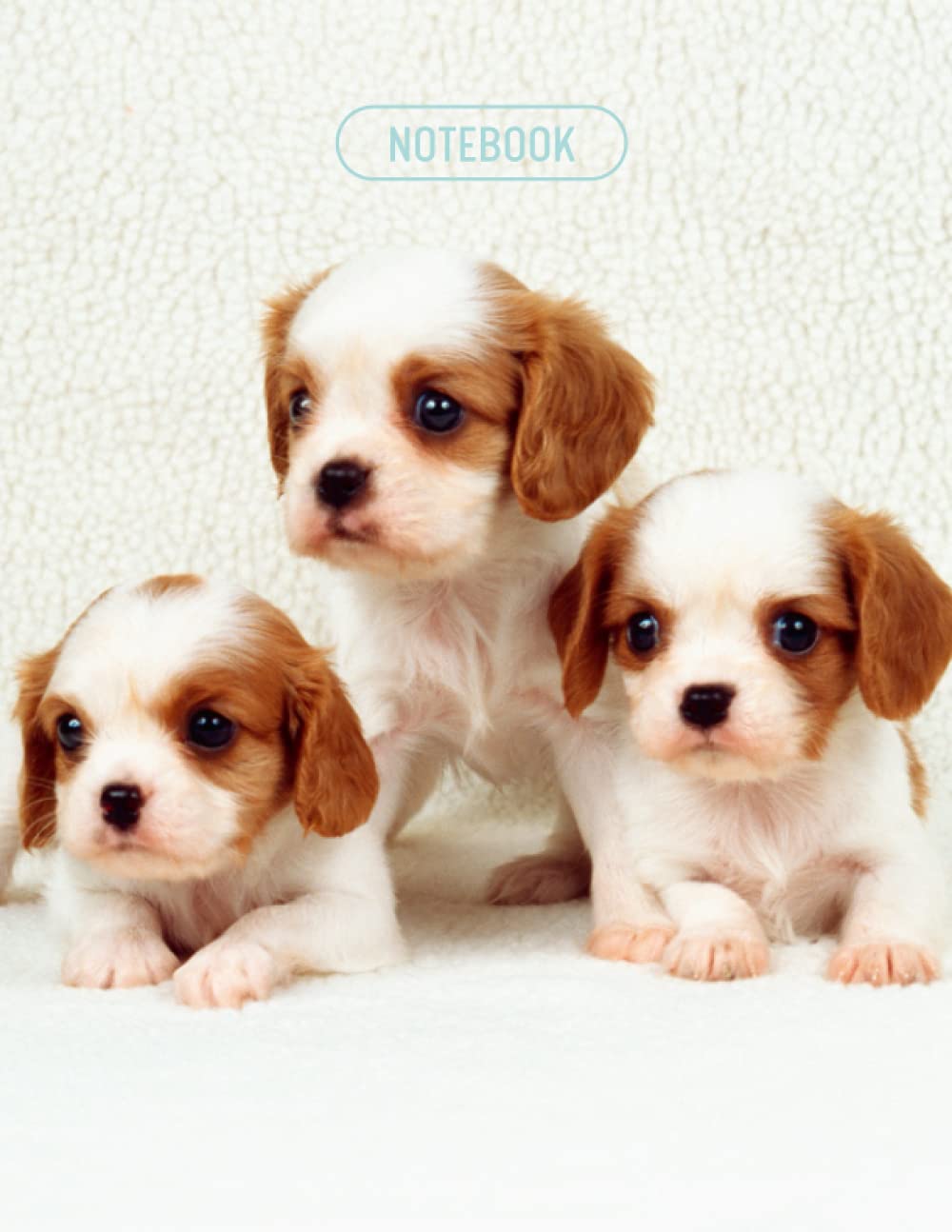 Cavalier King Charles Puppy Notebook: Kids Wide Ruled 200 Page (100 Sheets) Letter Sized (8.5 x 11 inches) Great for a Kids Journal, School Notebooks, and For Practicing Handwriting