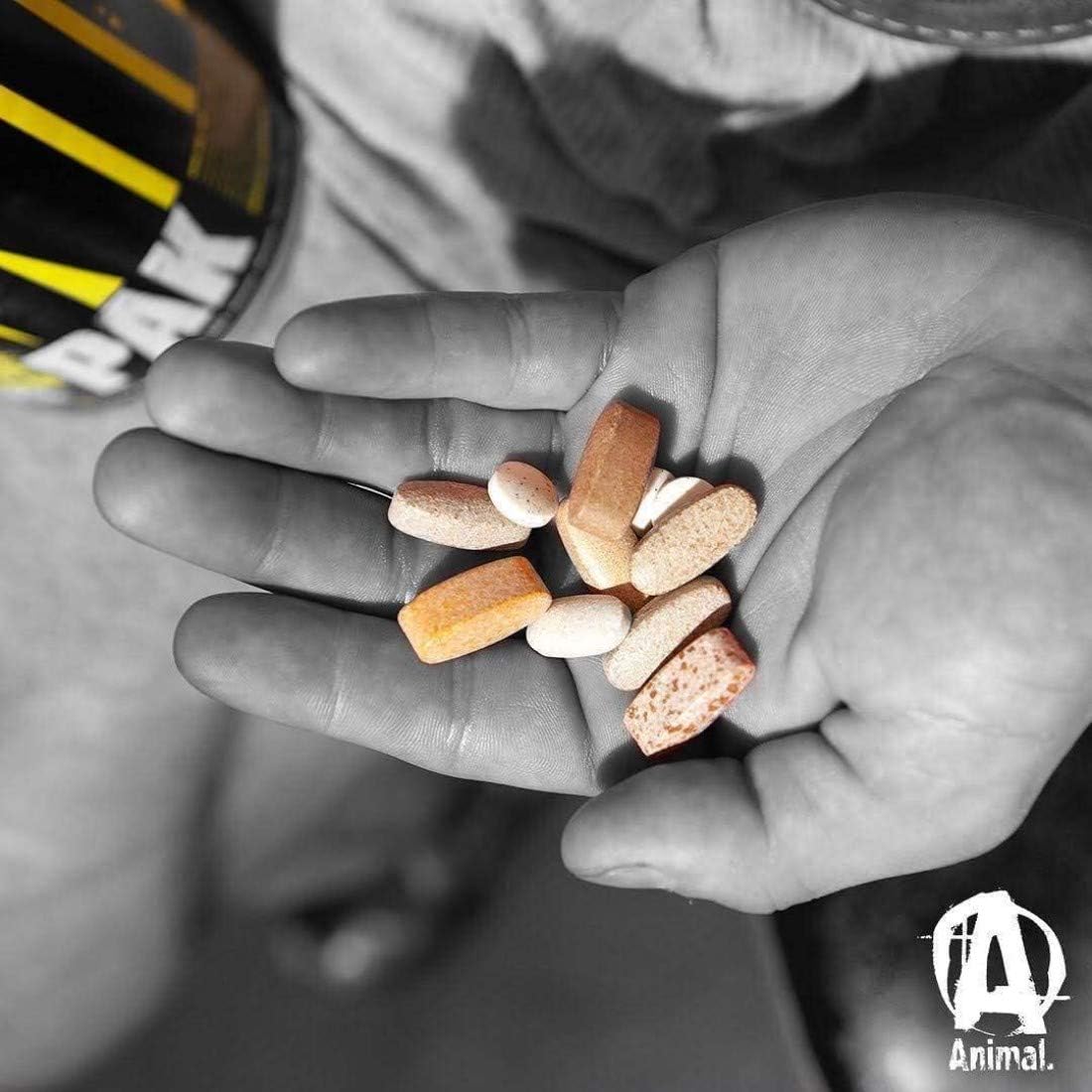 Animal Pak - the Complete All-in-one Training Pack - Vitamin Pack for Men, Amino Acids, Zinc and more - for Elite Athletes and Bodybuilders - 44 Packs: Health & Personal Care