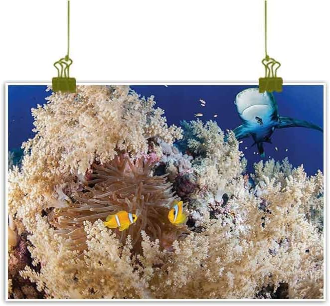 Sumilace Art Print/Poster Oil Paintings Reproduction, Reef with Little Clown Fish and Sharks East Egyptian Red Sea Life Scenery Art Home Wall Decorations - 23" x 35" Blue Cream