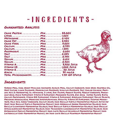 Manna Pro Duck Starter Grower Crumble NonMedicated Feed for Young