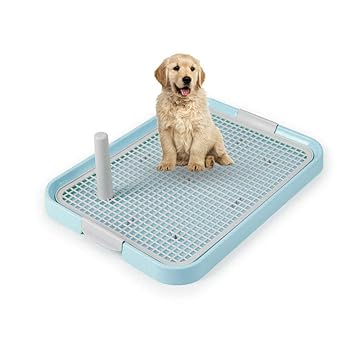 UMIWE Dog Pet Puppy Potty Training Indoor Mesh Toilet Regular Protect Litter Tray Pan Pad Holder Keep Paws Dry and Floor Clean (19X 14 Inch, Blue)