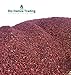 Rio Hamza Trading Red Lava Rocks (12-lbs) All Natural Medium Size Lava Rocks 1