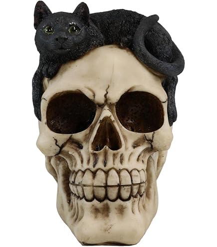 Amazon.com: Pacific Giftware Black Cat on Skull Figurine, 9.57
