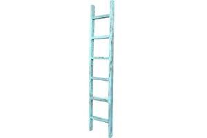 BARNWOODUSA LLC BARNWOODUSA Rustic Decorative Ladder - 100% Upcycled Wood (72" x 12" x 1.5", Robins Egg Blue)