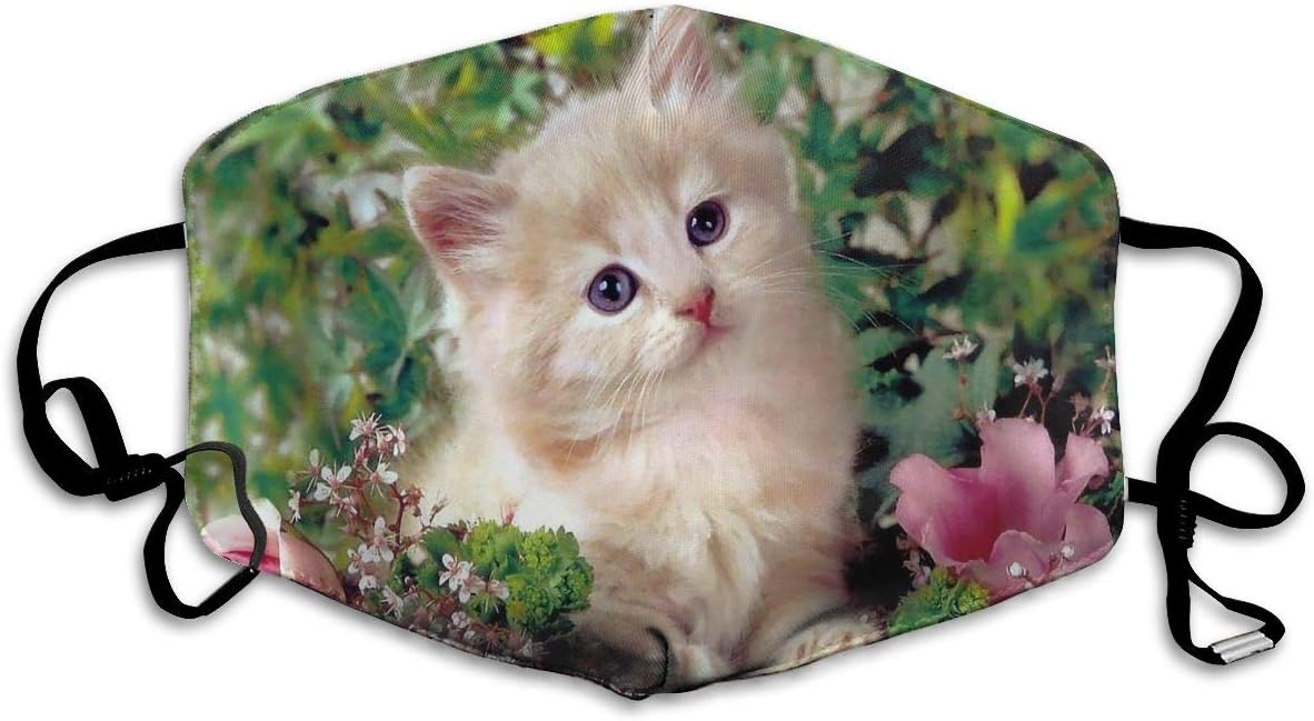 Polyester Anti-dust Mouth Mask - Cat Kitty Pet Pattern Washed Reusable Mouth-Muffle - Fashion Printed Face Masks for Outdoor Cycling