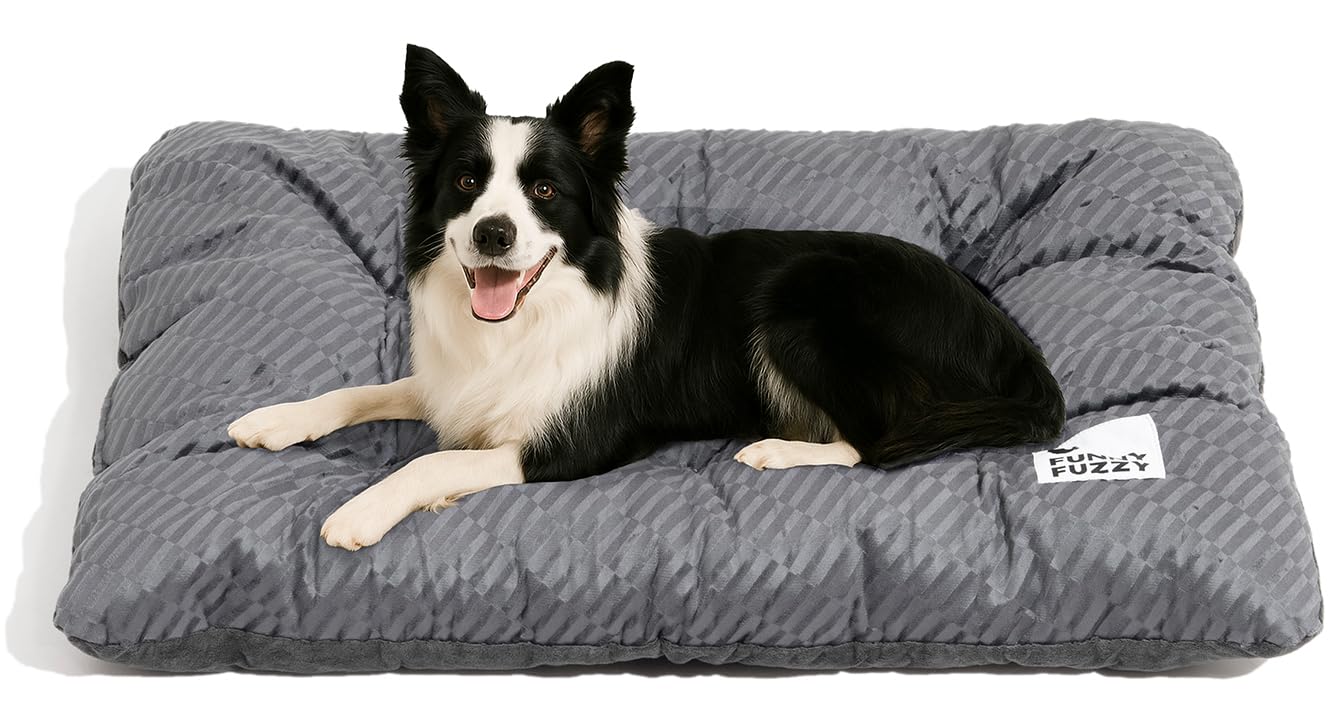 Photo 1 of FUNNY FUZZY Washable XL Dog Crate Bed for Extral Large Dogs,Reversible Plush Flat Dog Bed Mat, Pillows,Soft Comfy Kennel Pad,Pet Sleeping Mattress,Pet Cushion,42" × 28", Charcoal Grey