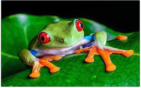 Amazon Amnogu 大人の木製パズル1000ピースかわいいアマガエルアート絵画 木製パズル おもちゃ