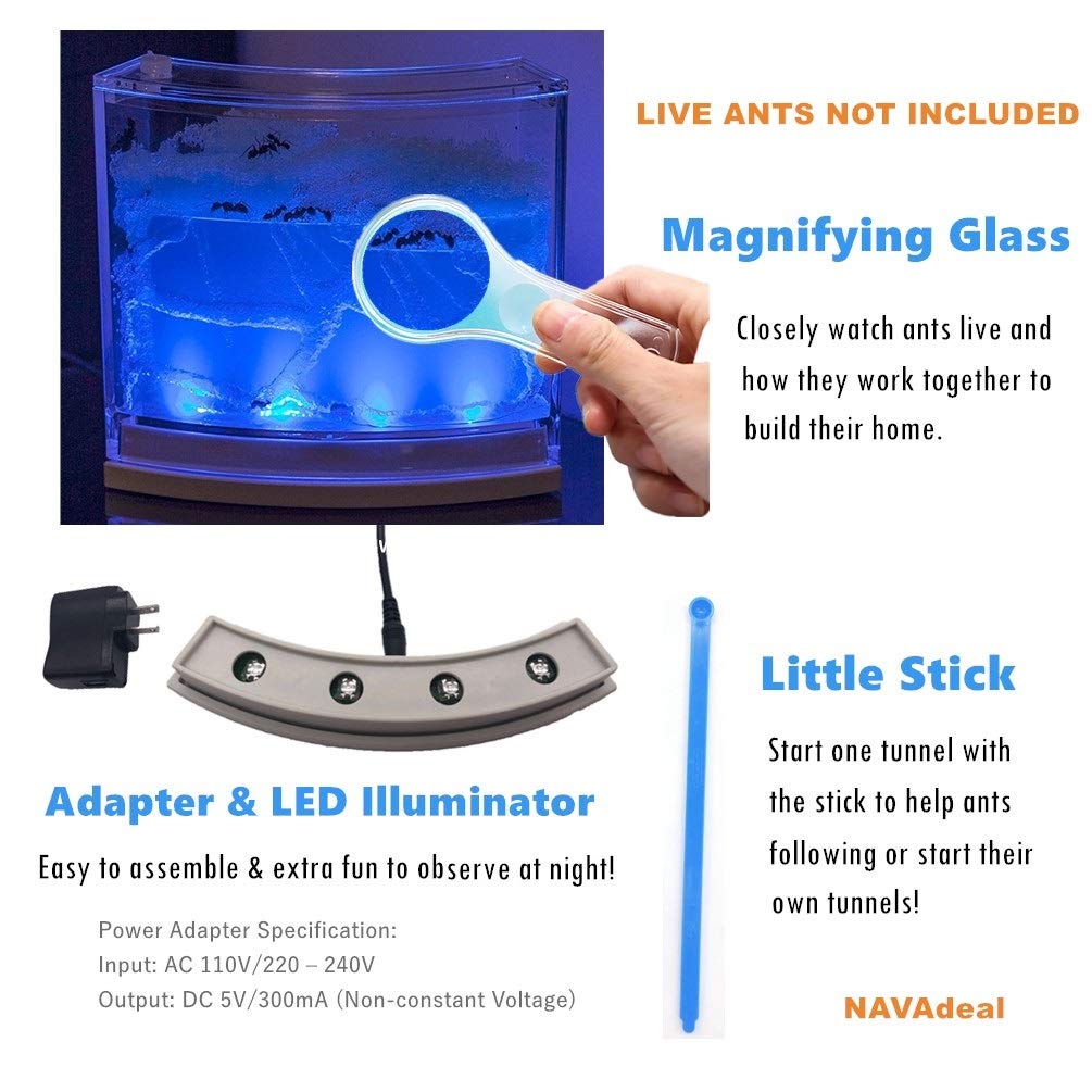 NAVADEAL Ant Farm Habitat for Kids W/LED Light – Great Educational & Science Kit with Nutrient Blue Gel, Observing Ants Create 3D Tunnels to Study Ants Behaviors & Ecosystem (Live Ants not Included)