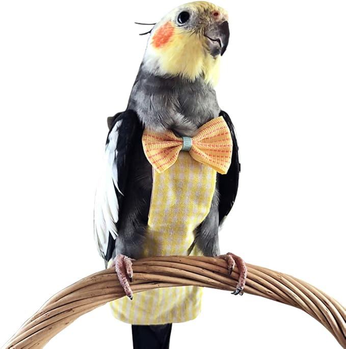 yellow cockatiel bird