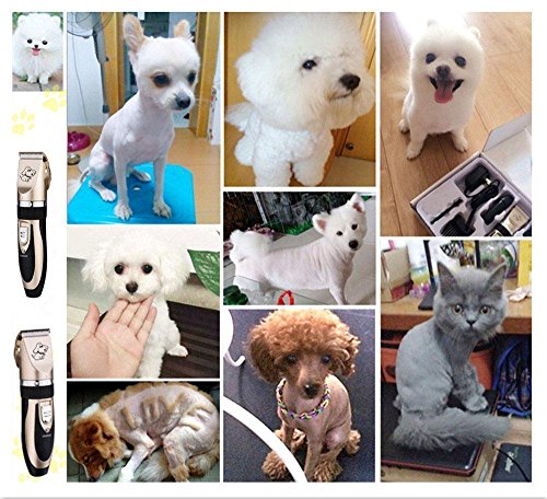 Pet Clipper, Umiwe Pet Dog Cat Hairdress Rechargeable Electronic Low Vibration Low Noise Pet Hair Trimmer Pet Scissors Dog Grooming Cutting Machine - Thumbnail 6