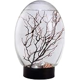 Desktop Aquarium, Mini Aquarium Fish Tank Ecosphere Closed Aquatic Ecosystem with LED Light Desktop Stable Black Base No Need to Feed or Change Water