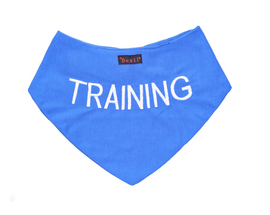 Dexil TRAINING Blue Dog Bandana Quality Personalised Embroidered Message. Neck Scarf Fashion Accessory. PREVENTS Accidents By Warning Others Of Your Dog In Advance