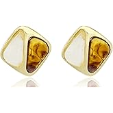Brown Earrings for Women Amber Earrings Gold Statement Earring Irregular Geometric Earring Jewelry Gift for Women
