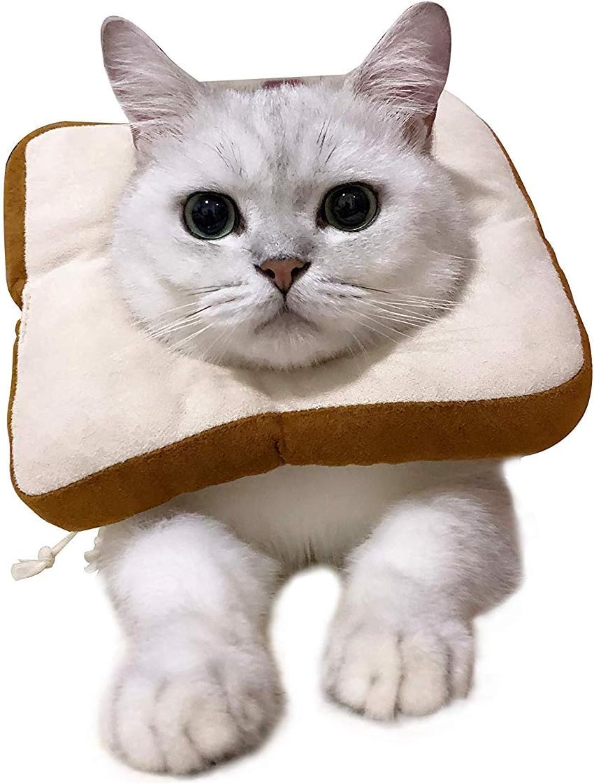 Collerette Chat Anti-Léchage Souple - Collier De Récupération Post-Opératoire Confortable - Taille M - Pour Chat Et Petit Chien - Empêche Léchage/Grattage Des Blessures
