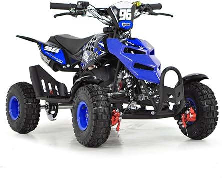 mini quad bike