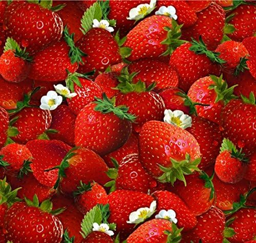 Elizabeth Studios Berry Good Quilt Fabric Fat Quarter
