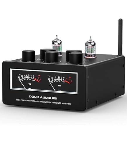 Amazon.com: Douk Audio T6 PRO Bluetooth Tube Amplifier, 300W x2