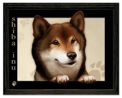Amazoncom Shiba Inu Dog By Scott Rogers Paws On The
