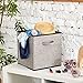 EZOWare 4 Pack Fabric Foldable Cubes Bin Organizer Container with Handles (10.5 x 10.5 x 11 inch) for Drawer, Nursery, Closet, Office, Home - Gray