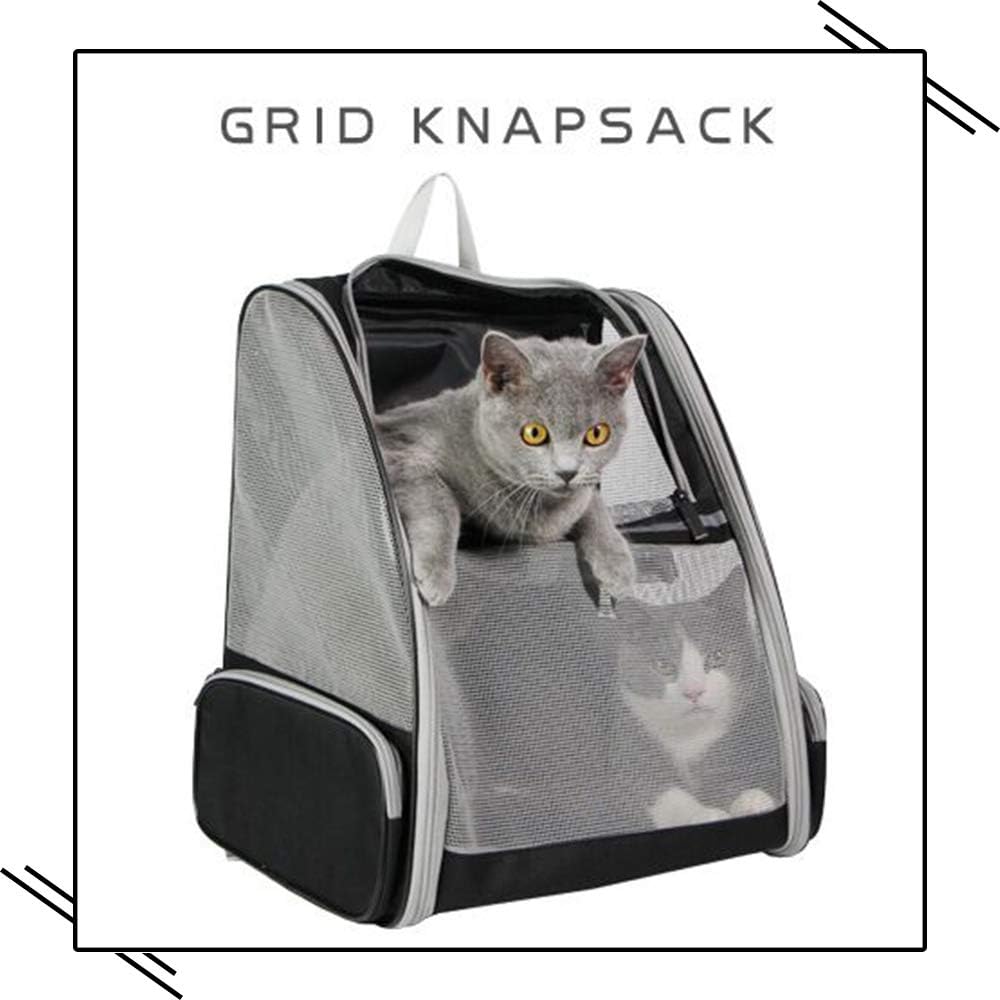 Texsens Innovative Traveler Bubble Backpack Pet Carriers for Cats and Dogs (Grey) : Pet Supplies