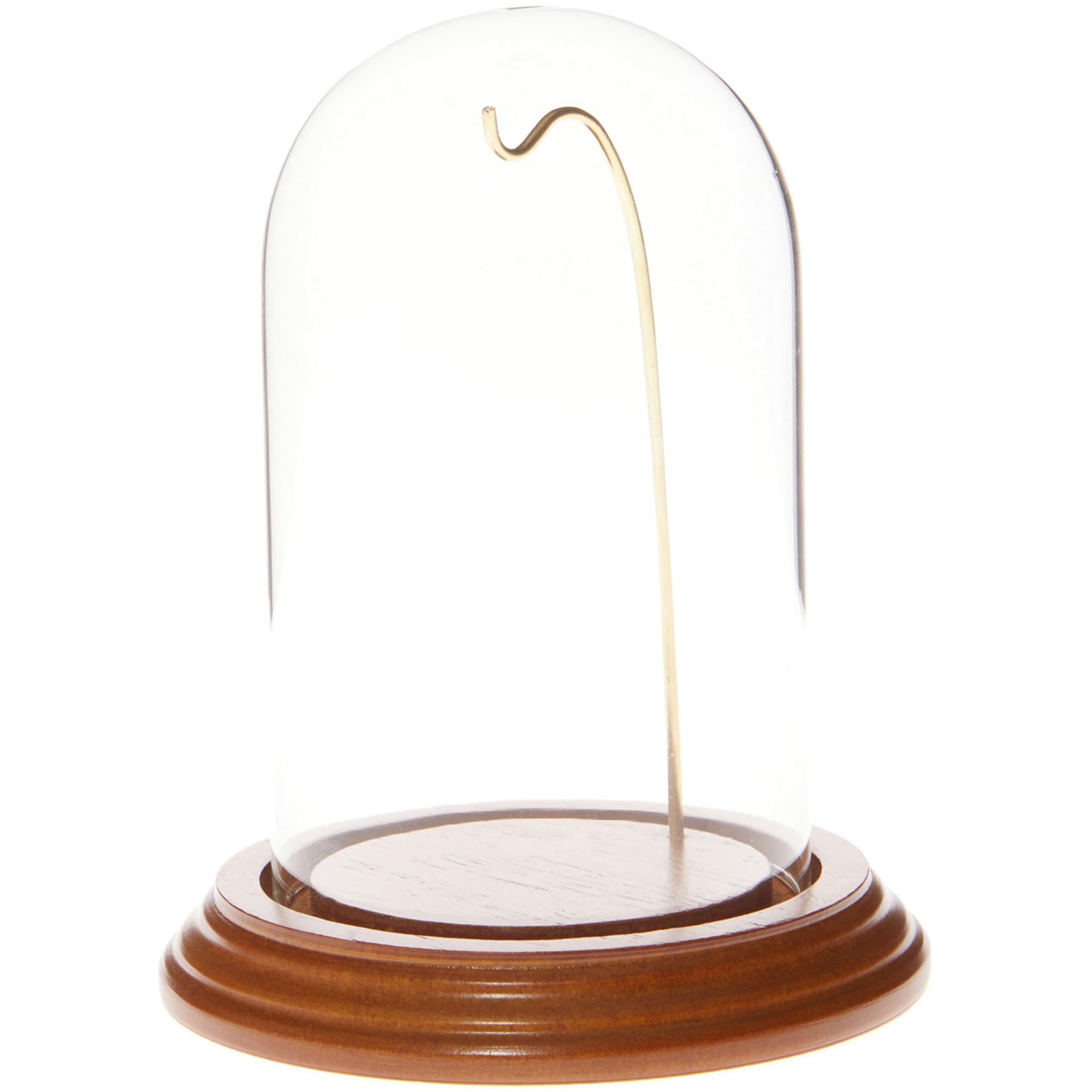 Plymor 3" x 5" Watch/Ornament Glass Display Dome Cloche (Oak Veneer Base & Gold Wire)