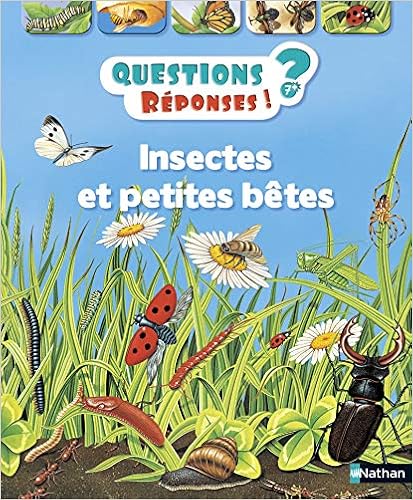 insectes-et-petites-betes