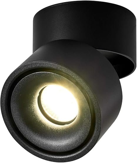 Dr Lazy 10 W Led Surface Mounted Ceiling Light Ceiling Spotlight Wall Light Ceiling Light Ceiling