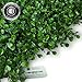 Ranka Lasting Greenery Artificial Boxwood Panels - Dark Green 6 Pack of 40x40 inch Panels (Covering 64.5 sqft.)