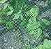 Green Anti Bird Net Garden Plant Fruits Fencing Mesh Protect Fruits from Rodents Birds, 13x 33ft