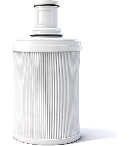 Amazon.com: 122943 Water Filter Replacement Cartridge, 3-in-1 e3