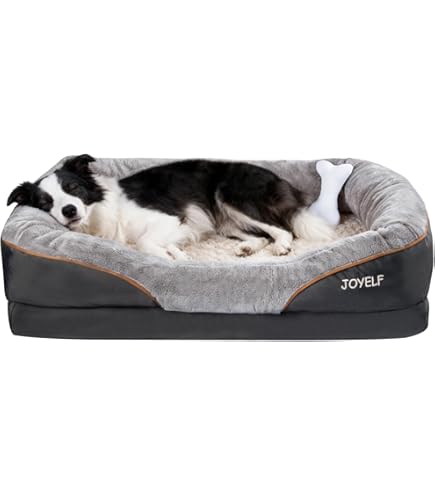 Sealy Dog Bed with Quad Layer Technology, Medium, Autumn Brown