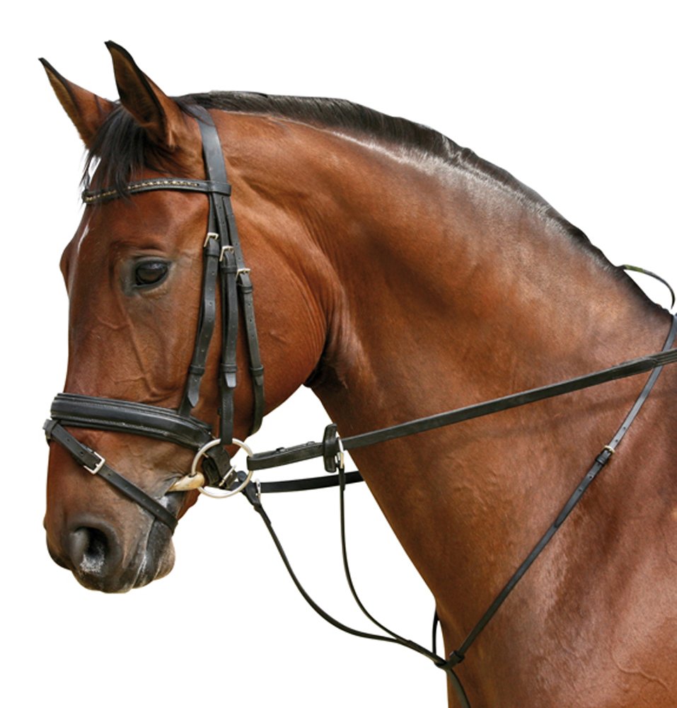 PFIFF Auxiliary Rein Martingale