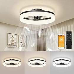 JOFIOS Ceiling Fans with Lights, 15.7in Black Flush