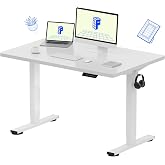 FLEXISPOT EN1 48"x30" One-Piece Standing Desk, White | 1" Thick Seamless Desktop, 176 LBS Capacity, Home Office Use, 4 Memory Presets, Dual Monitor Setup, Anti-Collision Protection
