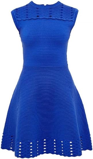 Amazon Ted Baker レディース Zaralie ジャカードパネル スケータードレス Us サイズ 4 カラー ブルー ワンピース チュニック 通販