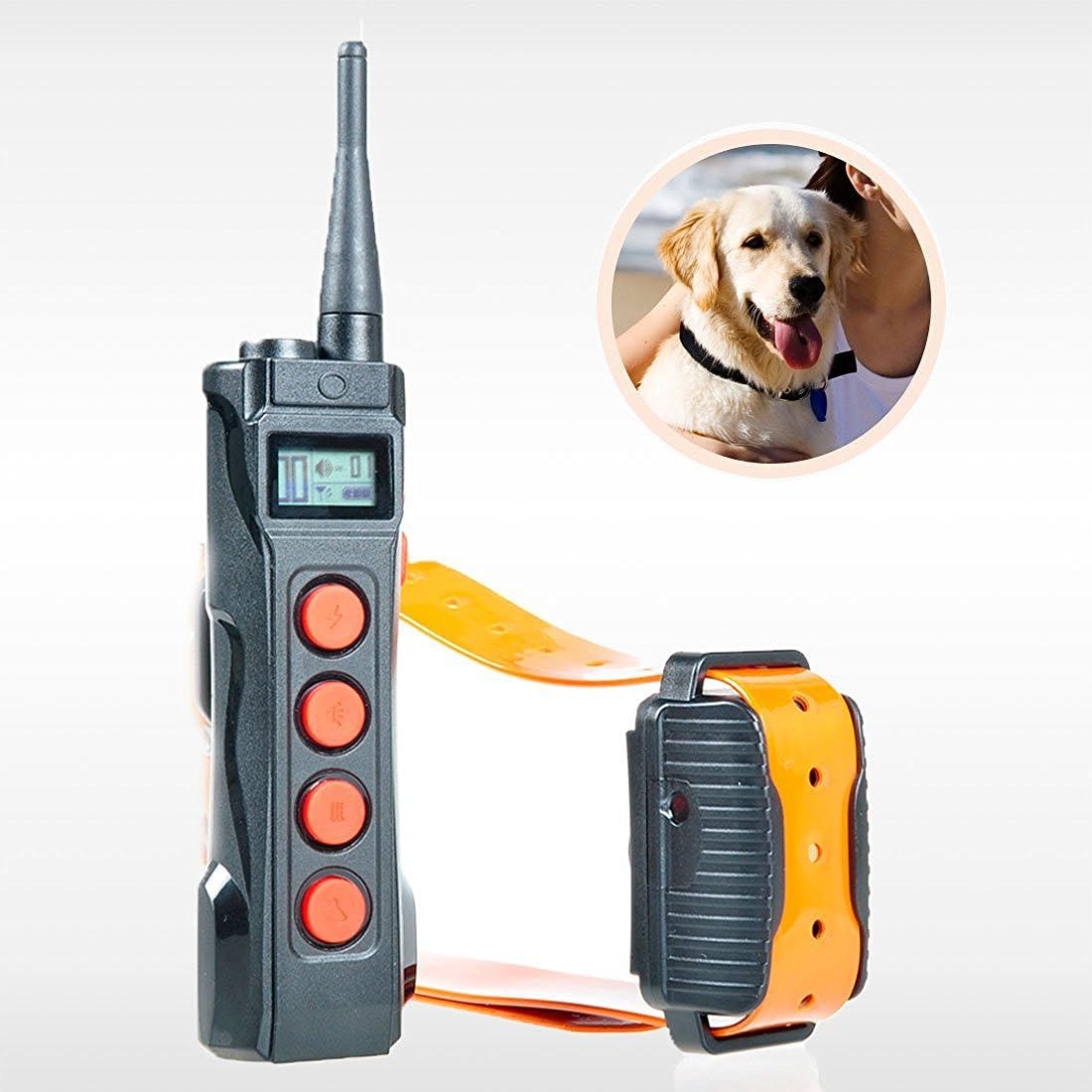 dog hairball treatment